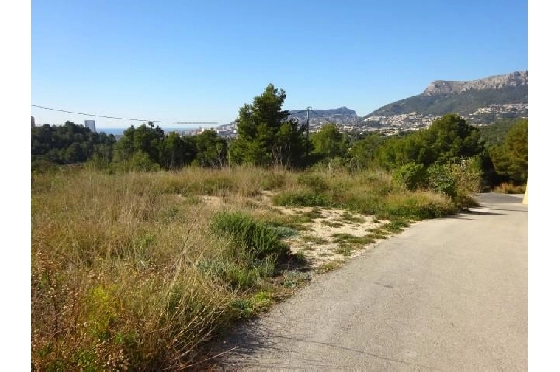 residential-ground-in-Calpe-for-sale-COB-2650-2.webp